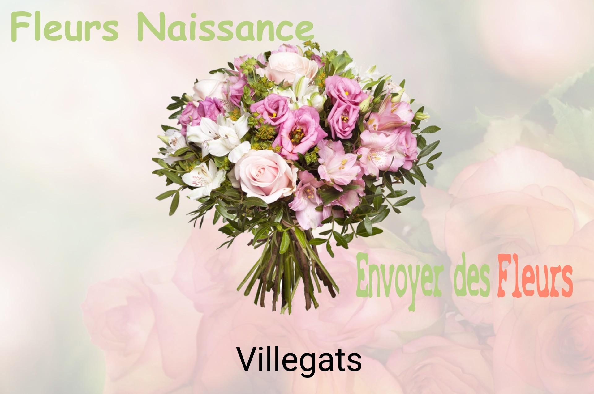 Bouquet de fleurs de naissance livré à Villegats