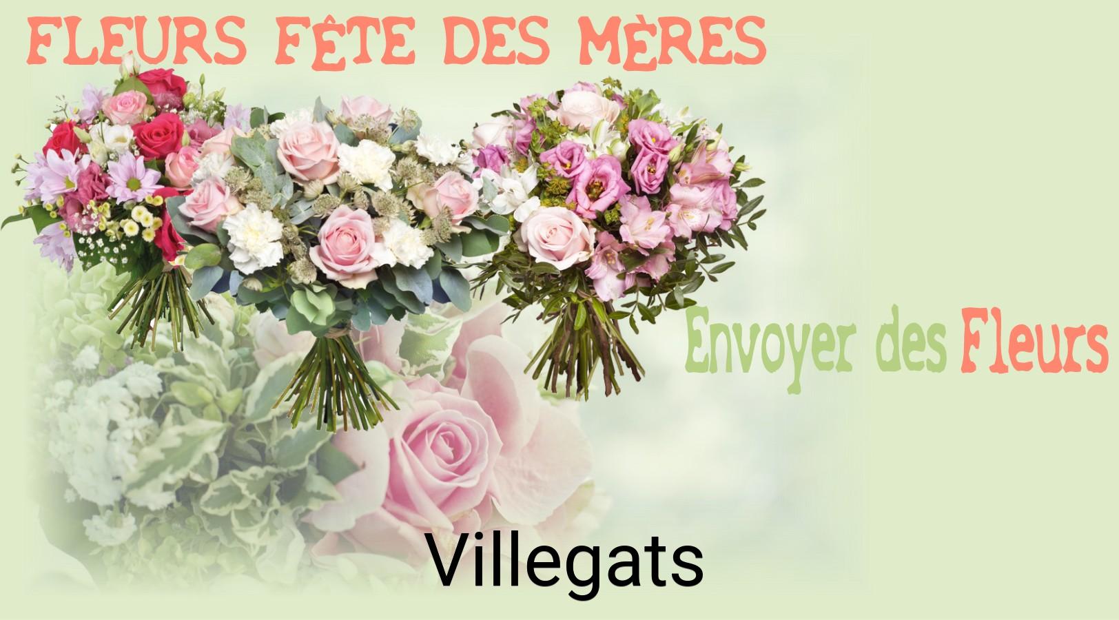 Bouquet de Fête des Mères livré à Villegats
